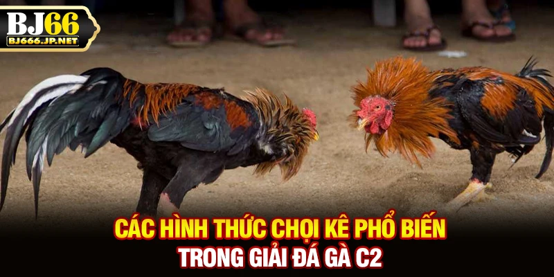 Các hình thức chọi kê phổ biến trong giải đá gà C2